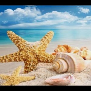 Beach Theme Coasters